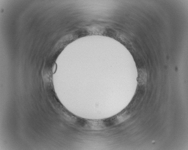 X0000064750713200603131343