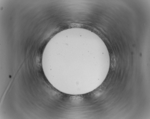 X0000064750714200603131343