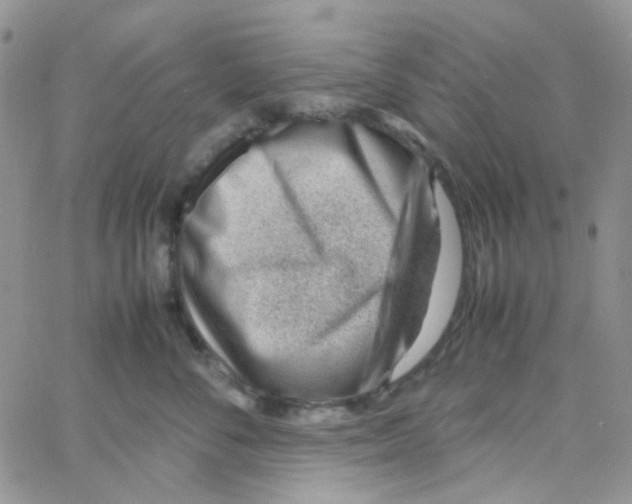 X0000064750716200603131343