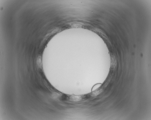 X0000064750717200603131343