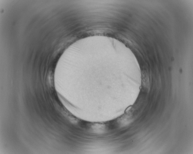 X0000064750718200603131343