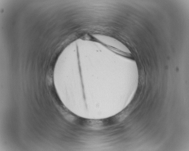 X0000064750719200603131343