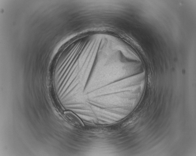 X0000064750724200603131343