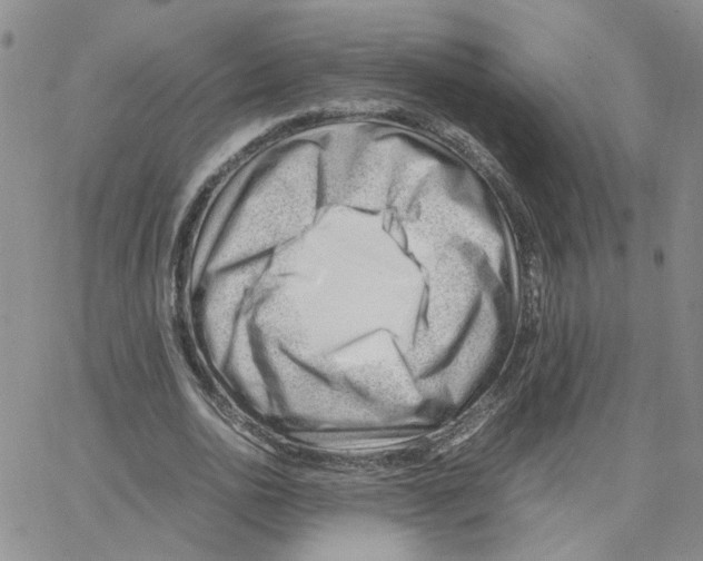 X0000064750726200603131343