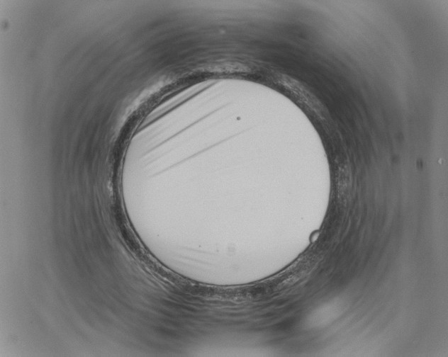 X0000064750727200603131343