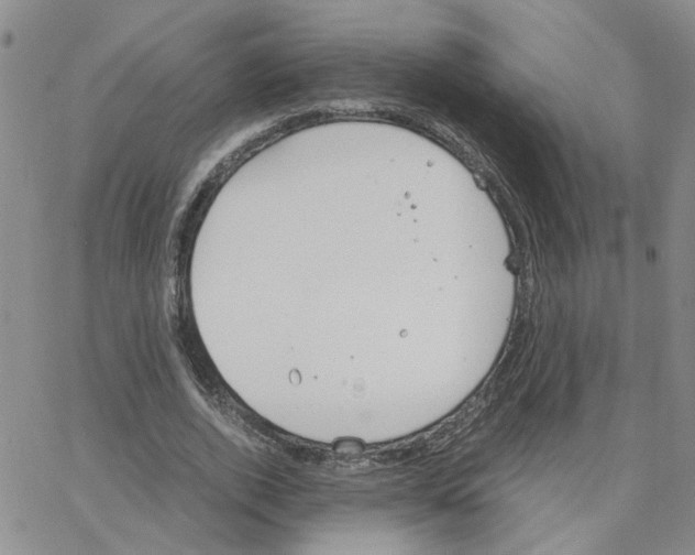 X0000064750728200603131343