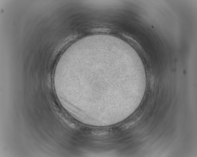 X0000064750729200603131343