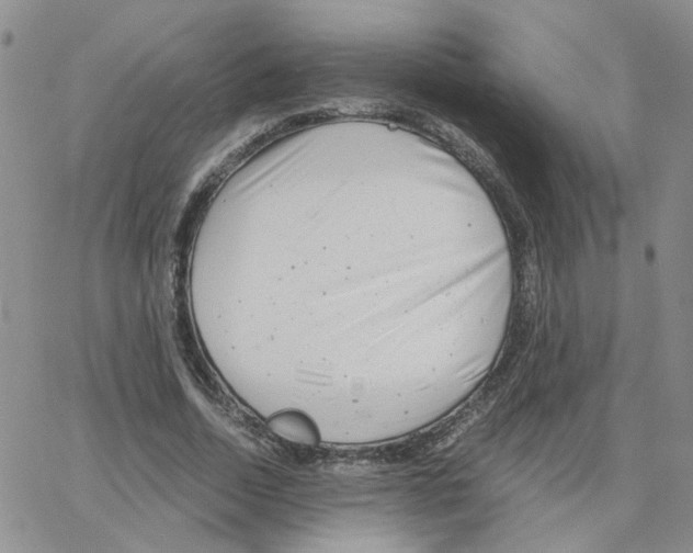 X0000064750730200603131343