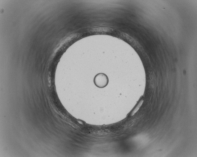 X0000064750731200603131343