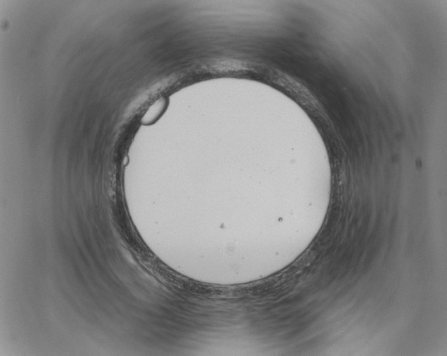 X0000064750732200603131343