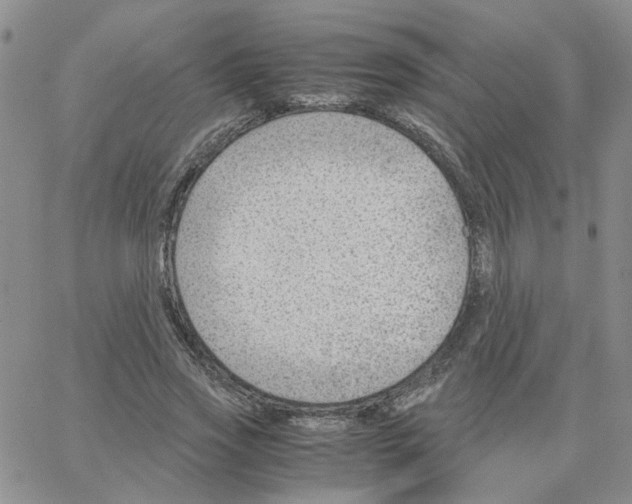 X0000064750733200603131343