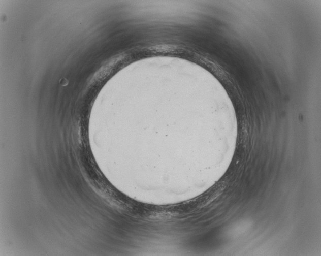 X0000064750734200603131343