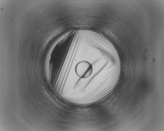 X0000064750735200603131343