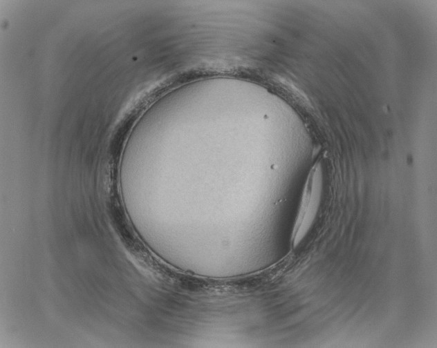 X0000064750736200603131343