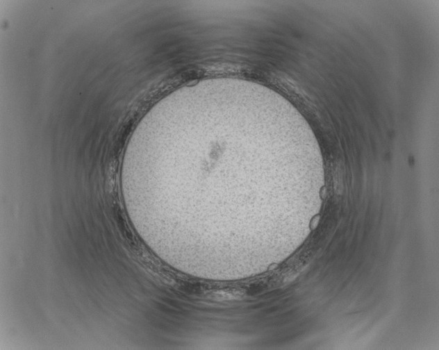 X0000064750737200603131343