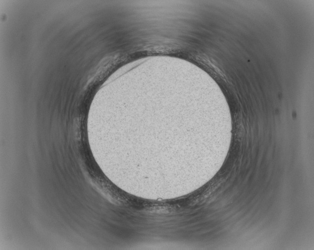 X0000064750738200603131343