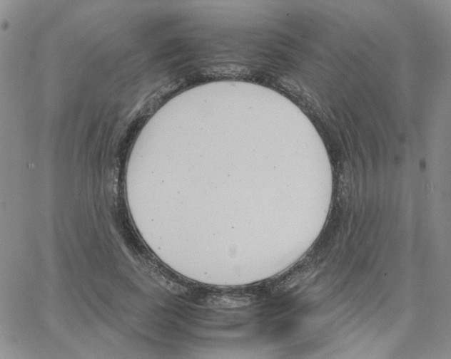 X0000064750739200603131343