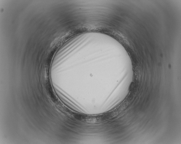 X0000064750740200603131343