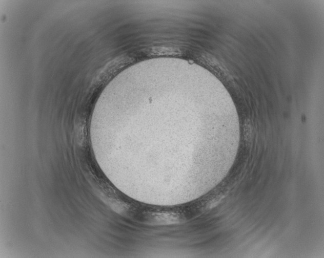 X0000064750741200603131343