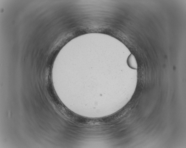 X0000064750742200603131343