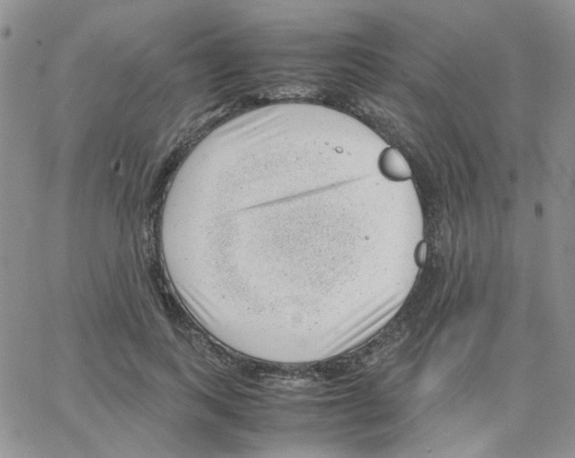 X0000064750743200603131343