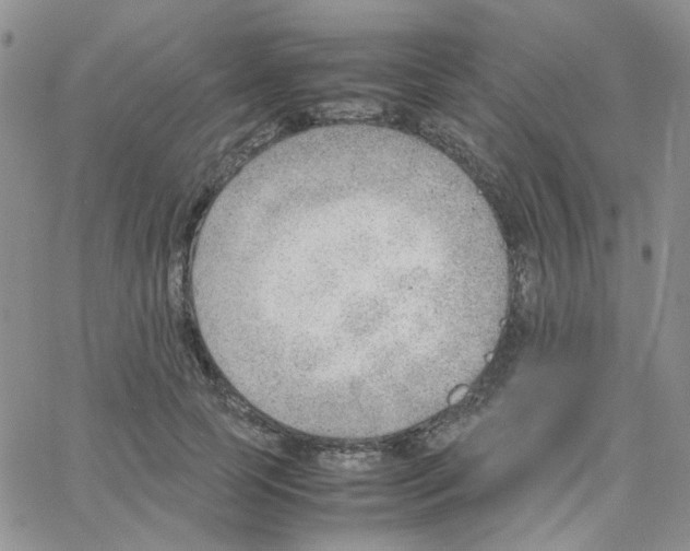 X0000064750745200603131343