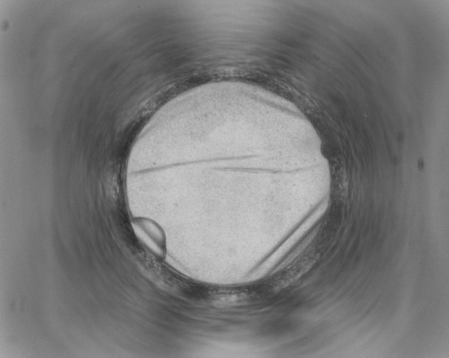 X0000064750746200603131343