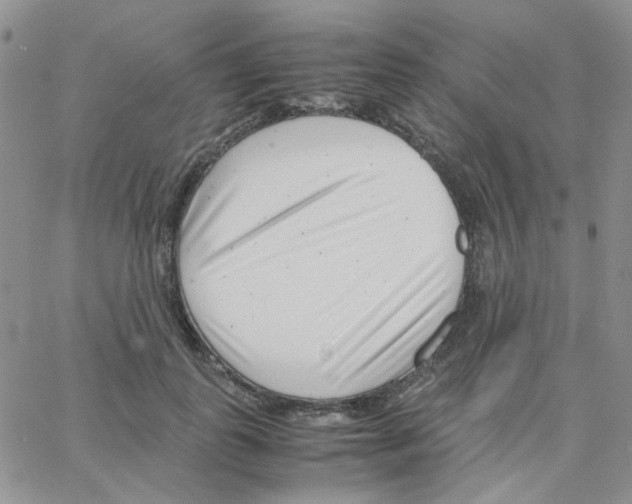 X0000064750747200603131343