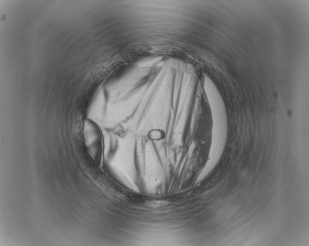 X0000064750748200603131343