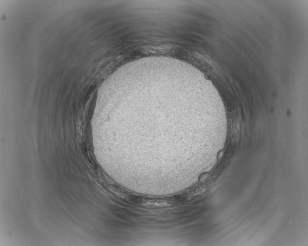 X0000064750749200603131343