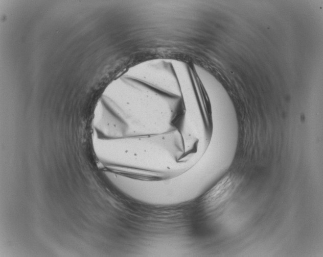 X0000064750750200603131343