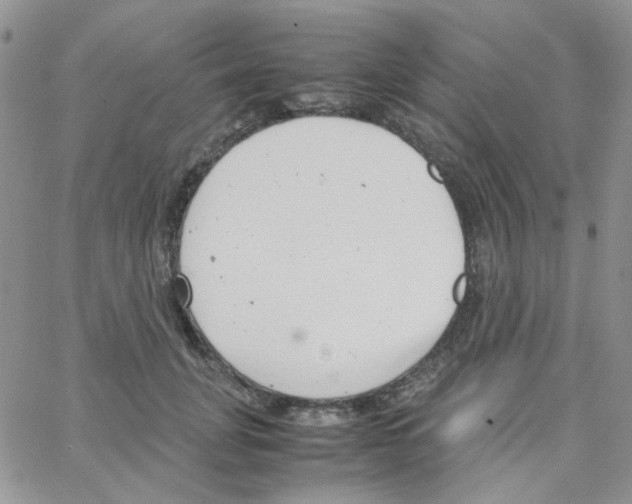 X0000064750751200603131343