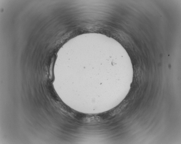 X0000064750752200603131343