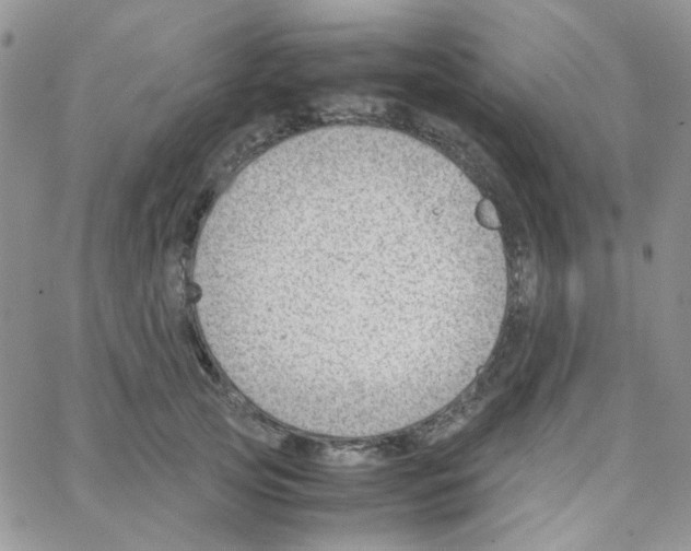 X0000064750753200603131343