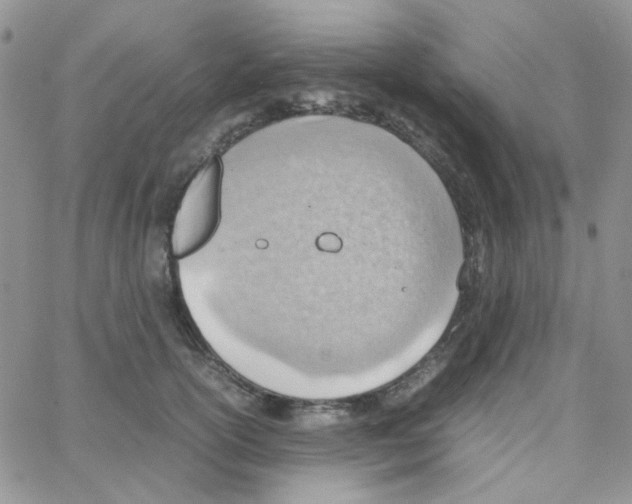 X0000064750754200603131343