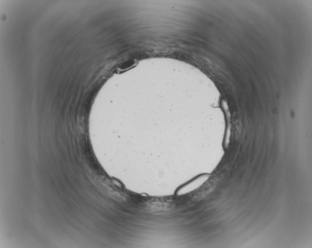 X0000064750756200603131343