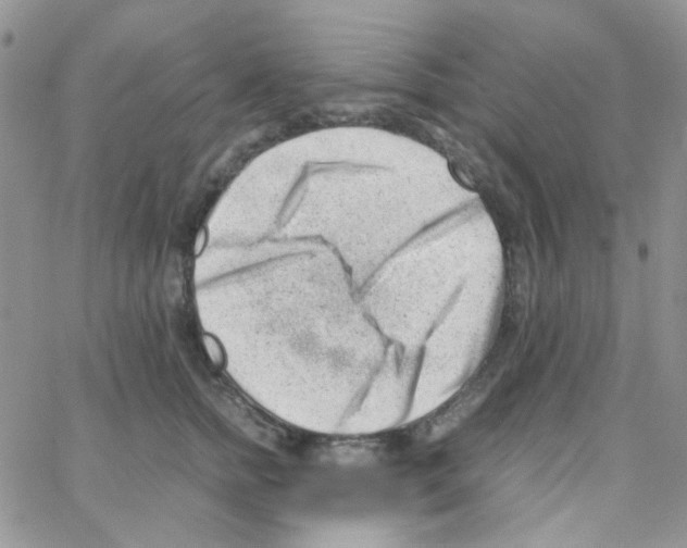 X0000064750758200603131343