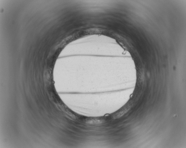 X0000064750759200603131343