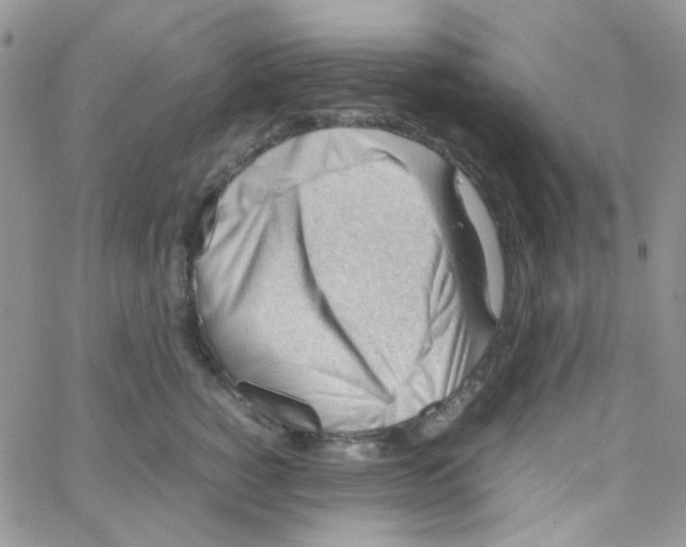 X0000064750760200603131343