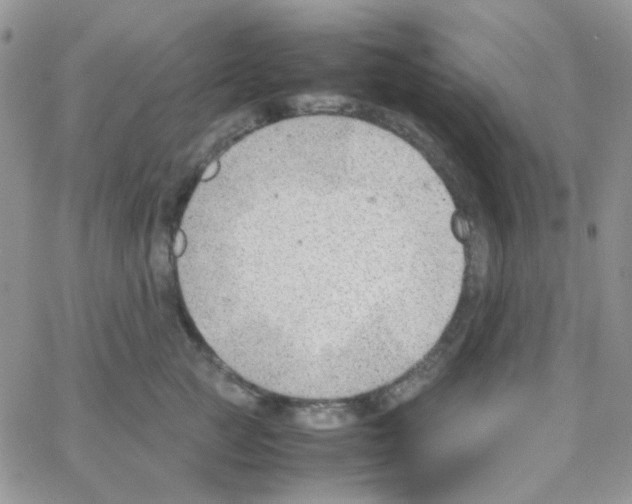 X0000064750761200603131343