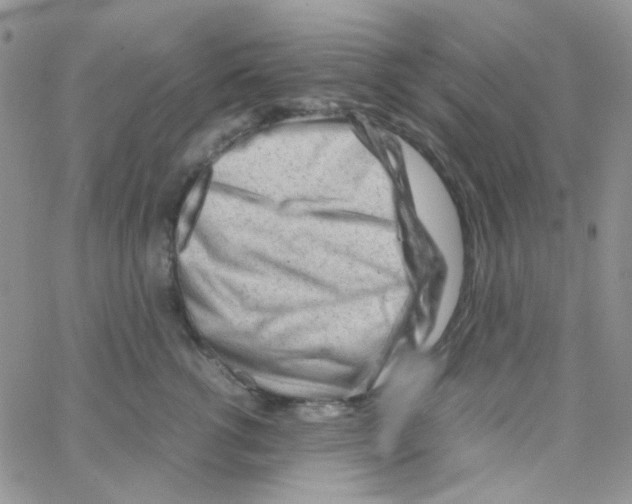 X0000064750762200603131343