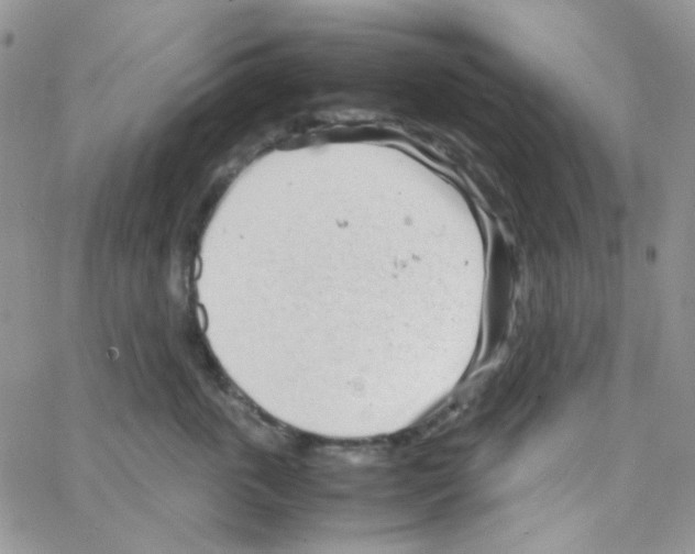 X0000064750763200603131343