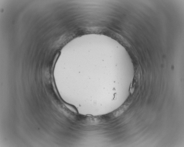 X0000064750764200603131343