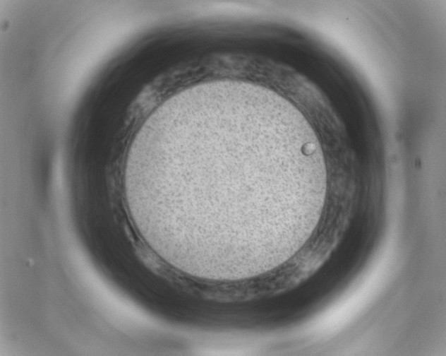 X0000064750765200603131343