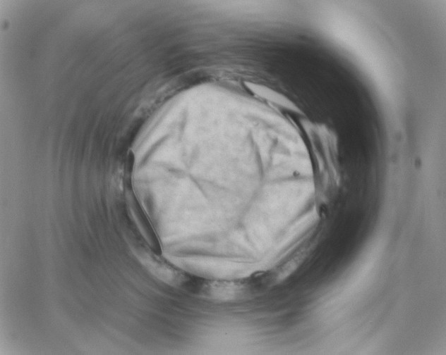 X0000064750766200603131343