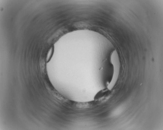 X0000064750767200603131343