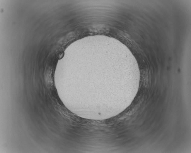 X0000064750770200603131342