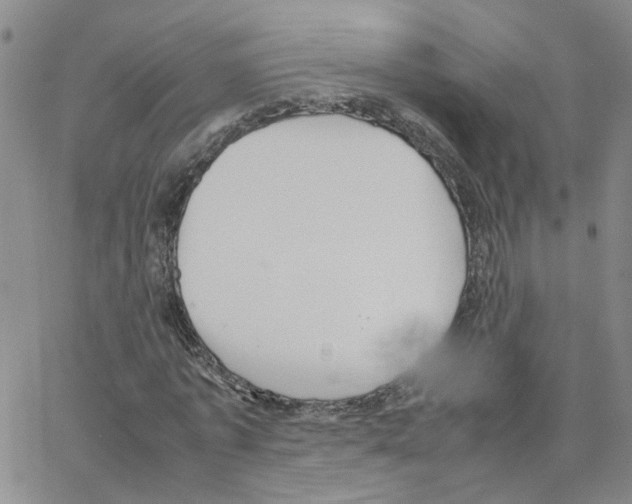 X0000064750773200603131342