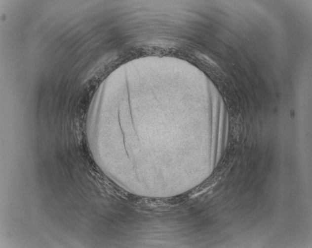 X0000064750774200603131342