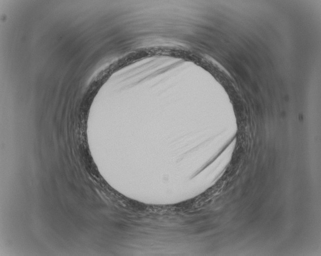 X0000064750775200603131342